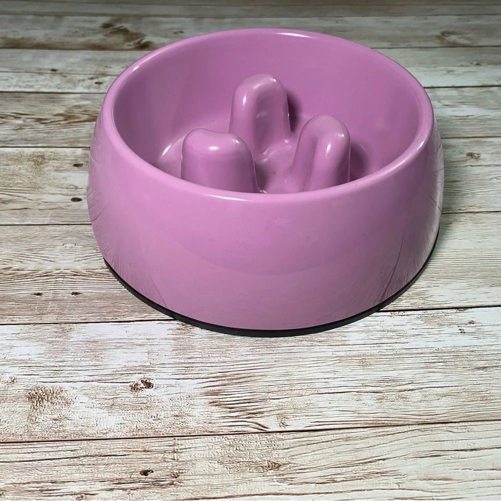 RESERVED VNTD United K9s Slow Feed Pet Bowl in Pink/Purple Dishwasher Safe